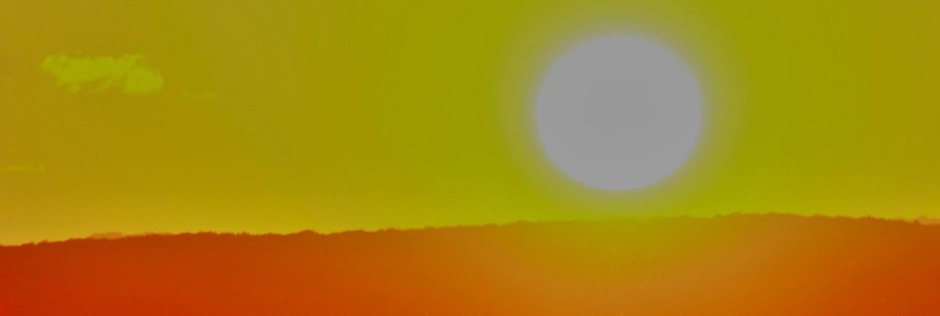 - Convoyages de véhicules industriels - Services aux entreprises